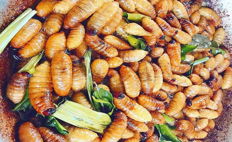 Top Đặc Sản Bến Tre Nổi Tiếng Nhất Định Phải Thử