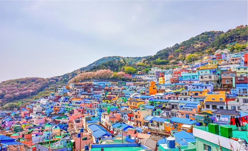 Du lịch Busan Hàn Quốc