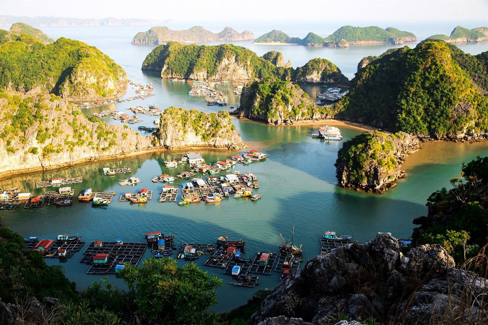 Du lịch Cát Bà tự túc