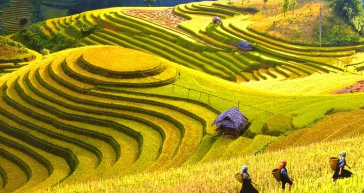 Du lịch Điện Biên - Khám phá vẻ đẹp hùng vĩ của vùng đất lịch sử