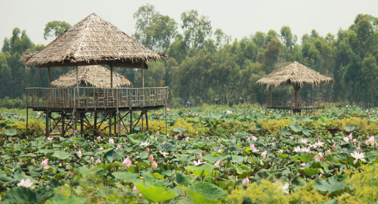 Khám phá địa điểm du lịch Đồng Tháp có gì đẹp?