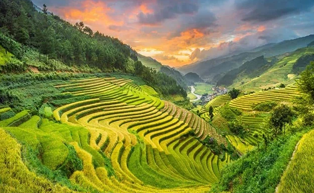 Du Lịch Lai Châu - Khám phá vẻ đẹp hùng vĩ của núi rừng Tây Bắc