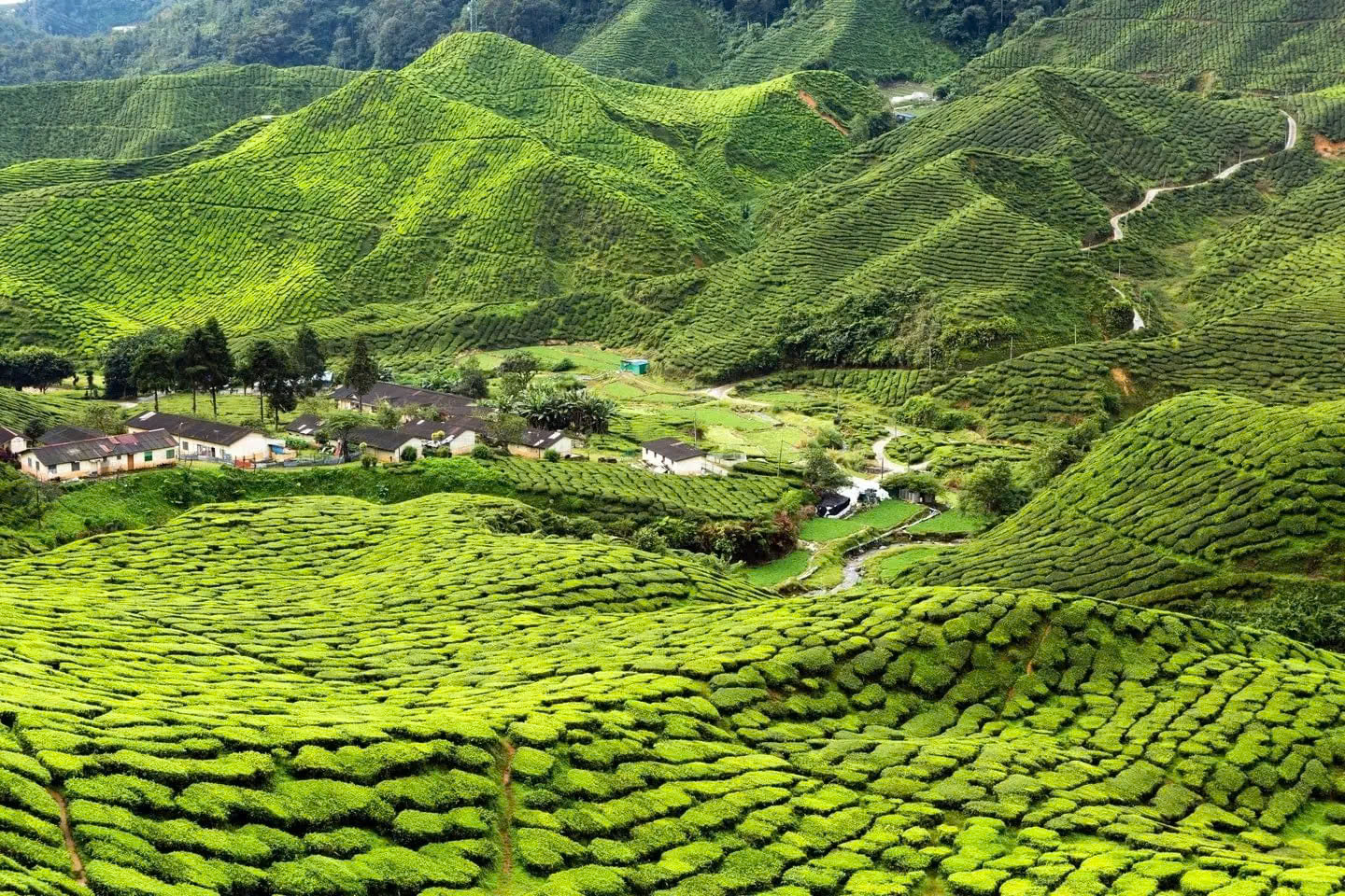 Du lịch Malaysia