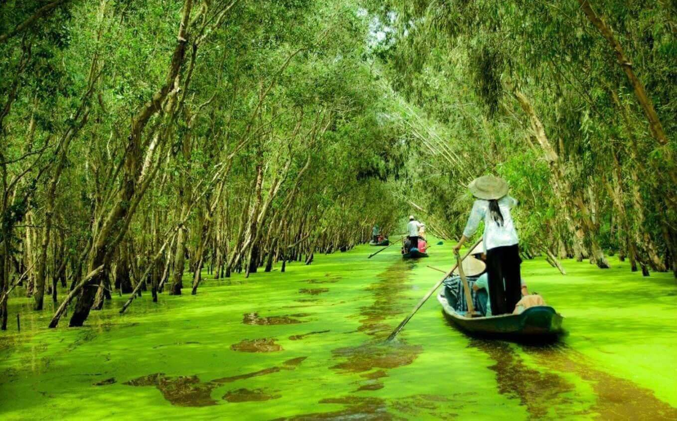 Du lịch miền Tây mùa nước nổi