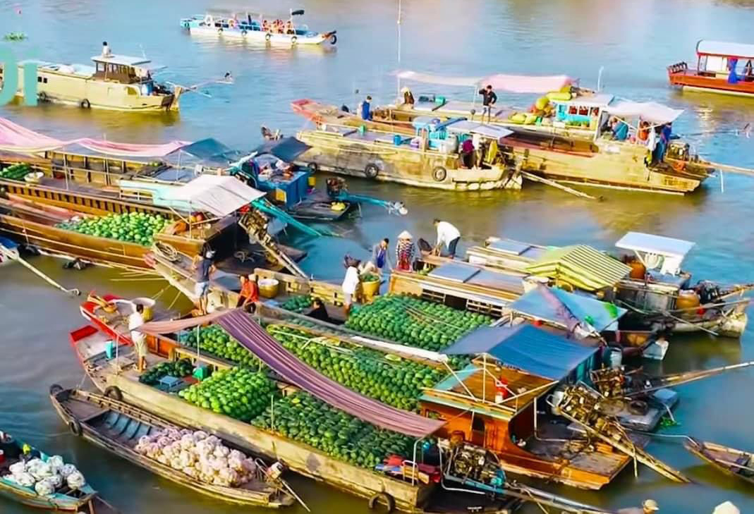 Du lịch miền Tây mùa nước nổi