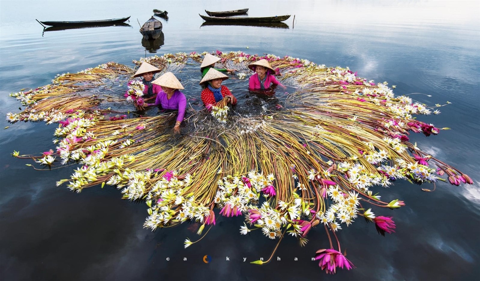 Du lịch miền Tây mùa nước nổi