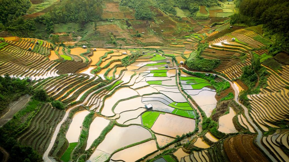 Du lịch Mù Cang Chải