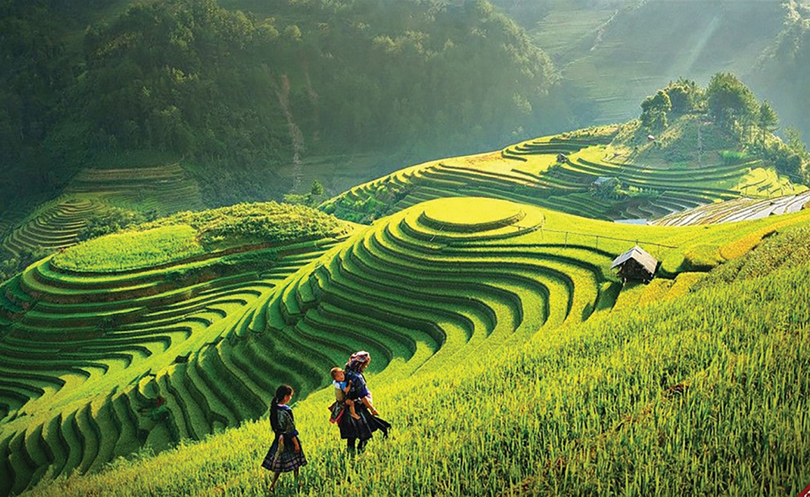 Du lịch Mù Cang Chải