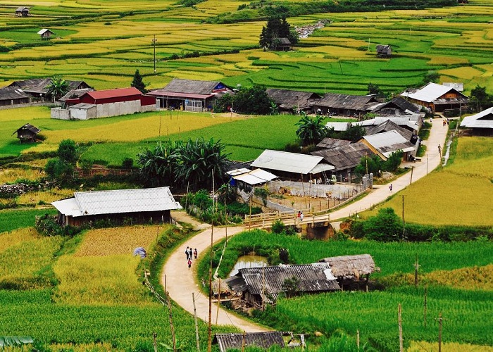 Du lịch Mù Cang Chải