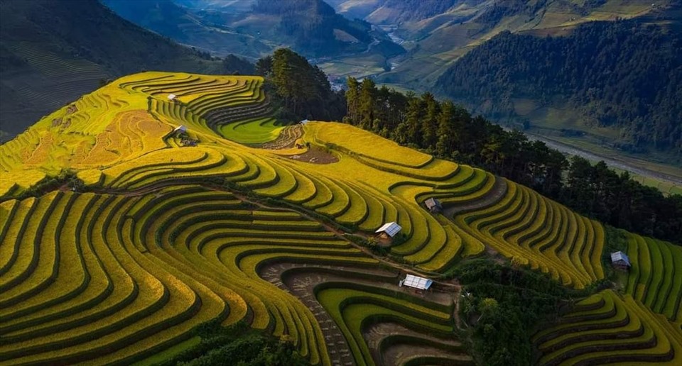 Du lịch Mù Cang Chải