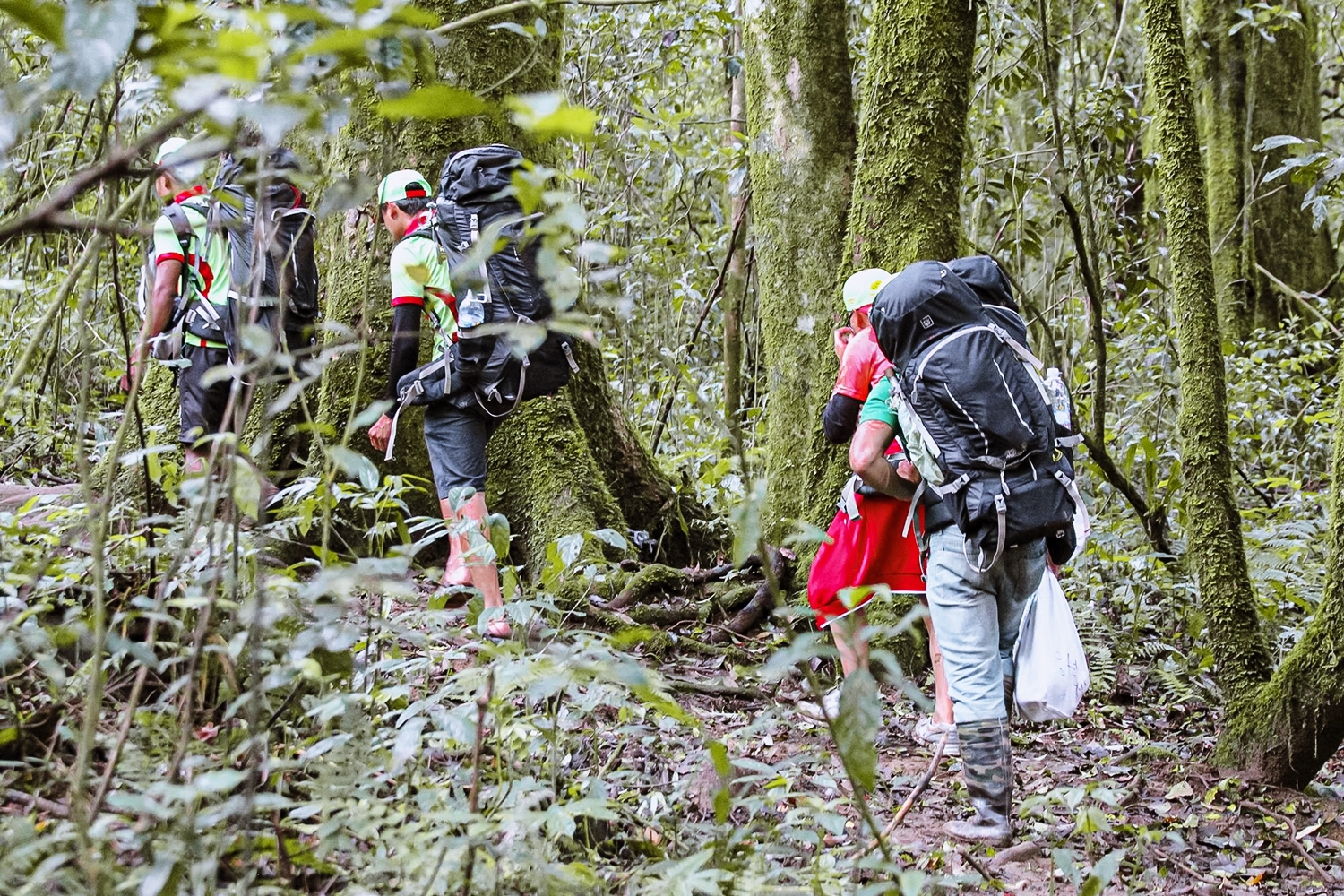 Kinh nghiệm đi tour trekking