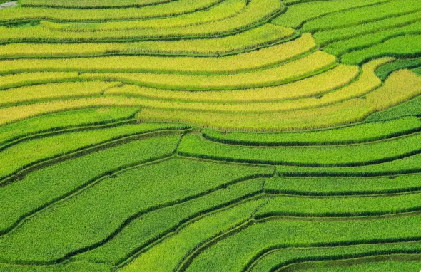 Thung lũng Tú Lệ - Nơi giao hòa giữa thiên nhiên và văn hóa