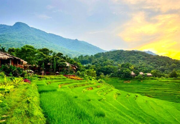 Trekking Pù Luông - Khám Phá Thiên Nhiên Hoang Sơ Giữa Núi Rừng