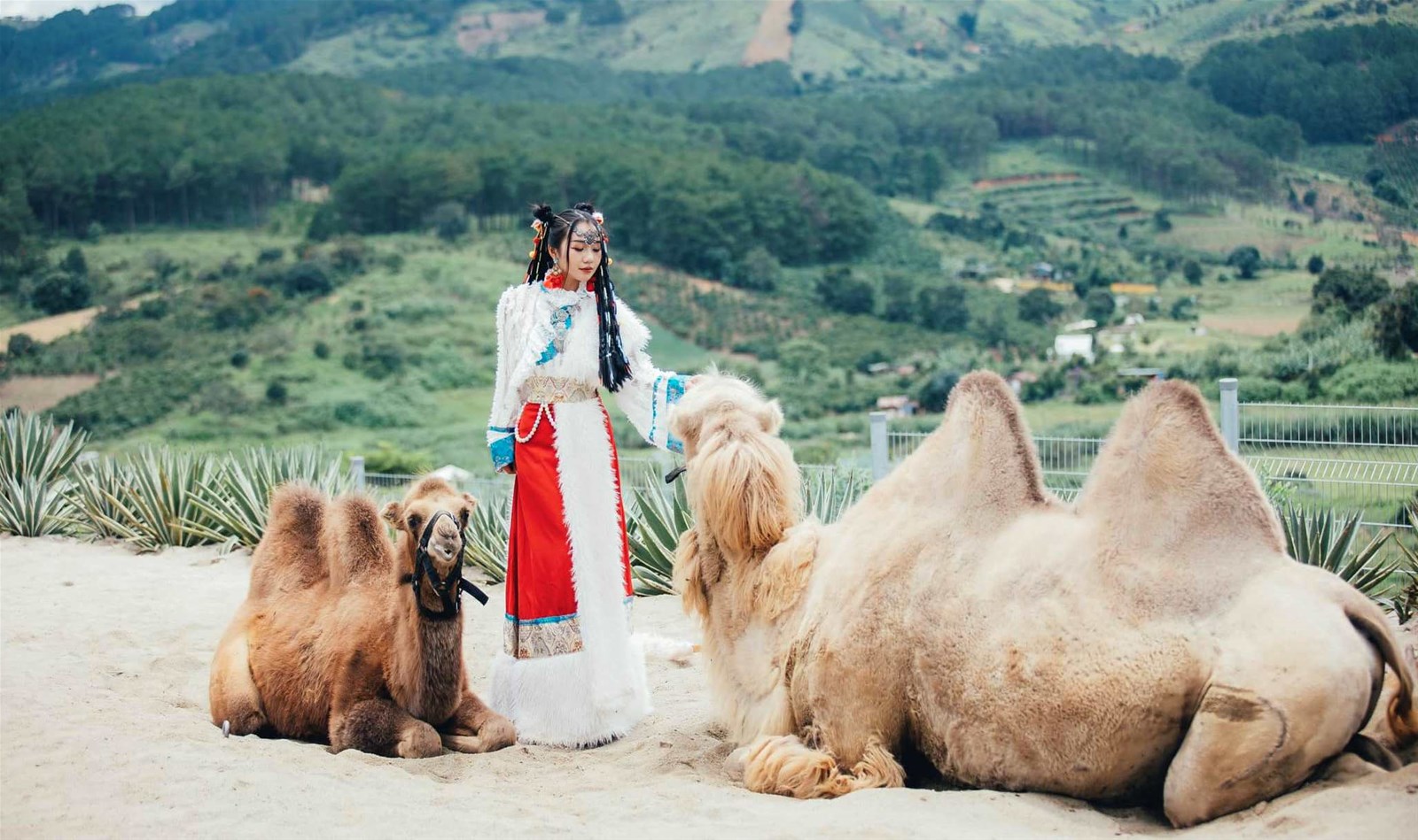 Tour Bình Dương - Đà Lạt 3N3Đ Hàng Tuần