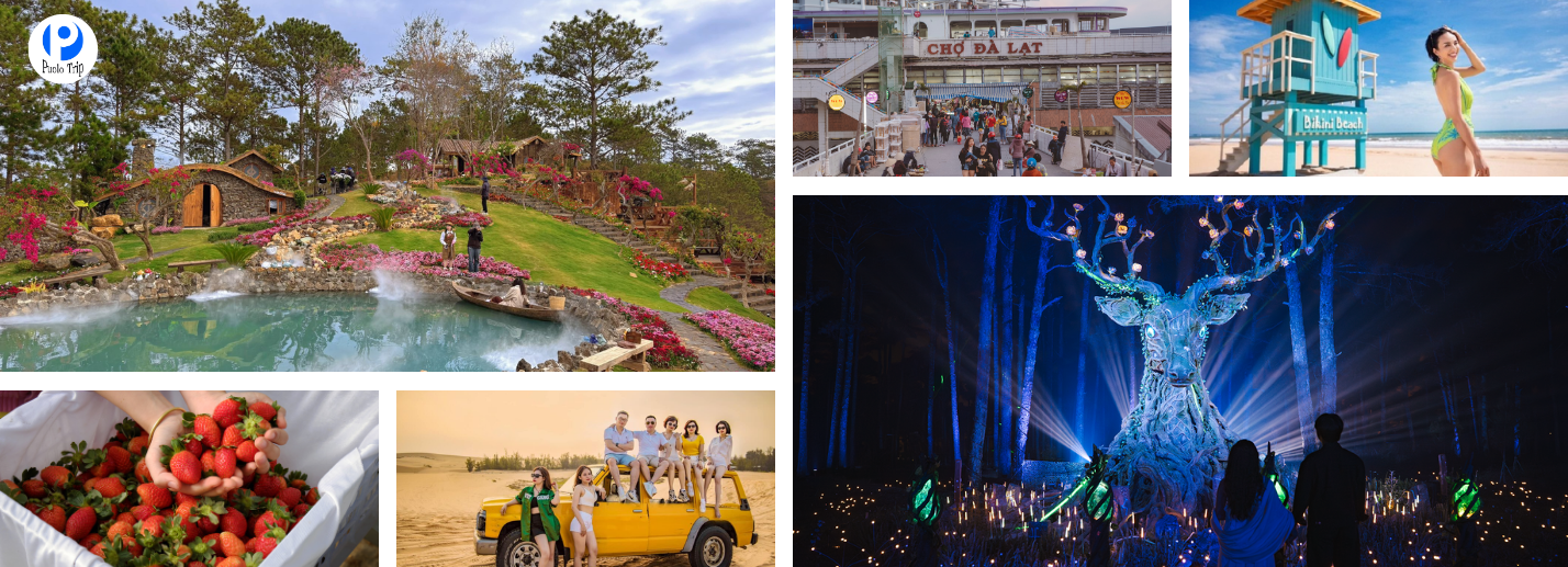 Tour Đà Lạt – Phan Thiết 3N3Đ – Kết Nối Biển Xanh Và Đại Ngàn Hoa Rực Rỡ