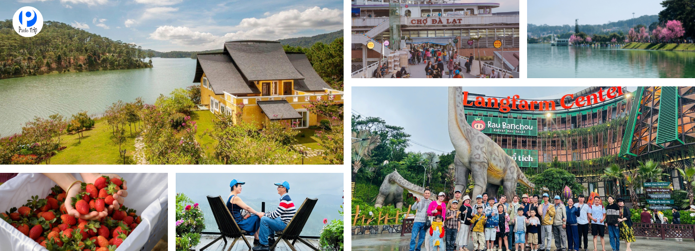 Tour Đà Lạt 3N2Đ Bằng Máy Bay Trọn Gói Đang Khuyến Mãi