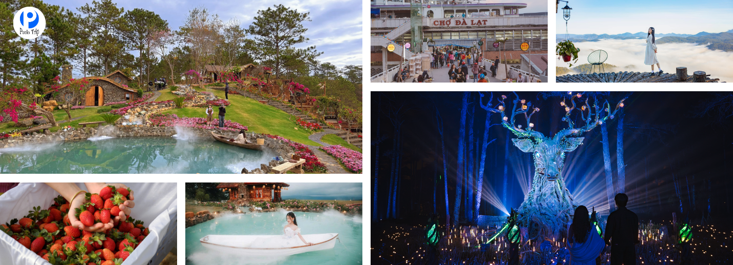 Tour Đà Lạt 3N3Đ Bằng Xe Giường Nằm | Đang Khuyến Mãi
