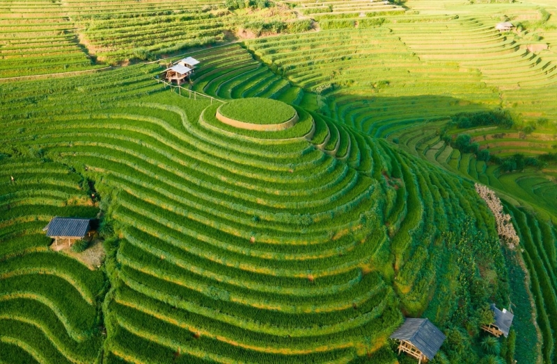 Địa điểm check-in ruộng bậc thang