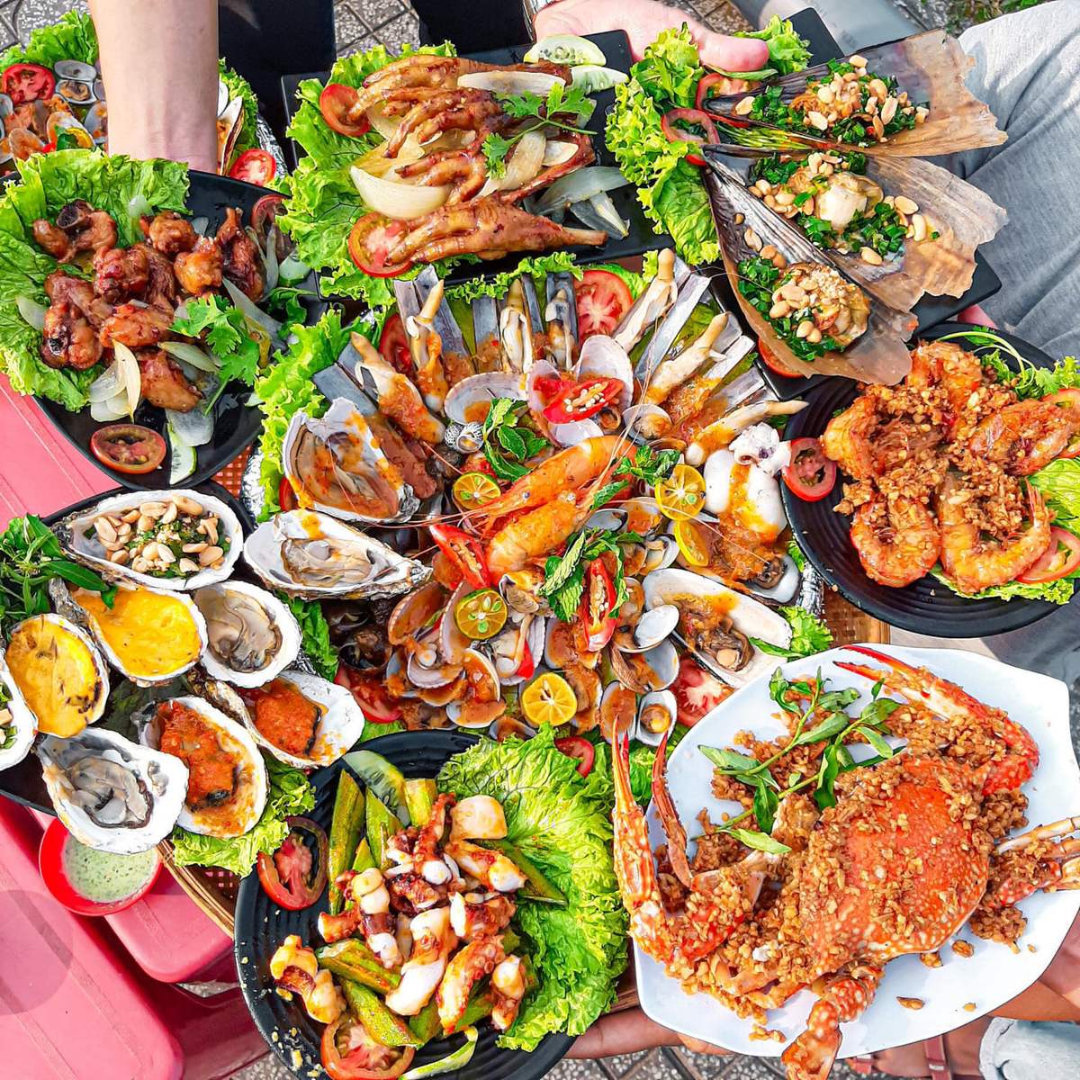 Trải Nghiệm Du Lịch 1 Ngày Hòn Mun Nha Trang Tự Túc