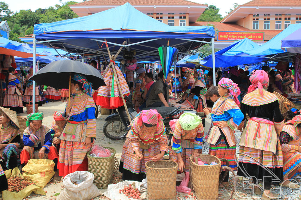 Du lịch Bắc Hà