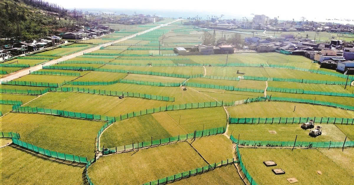 Du lịch Lý Sơn