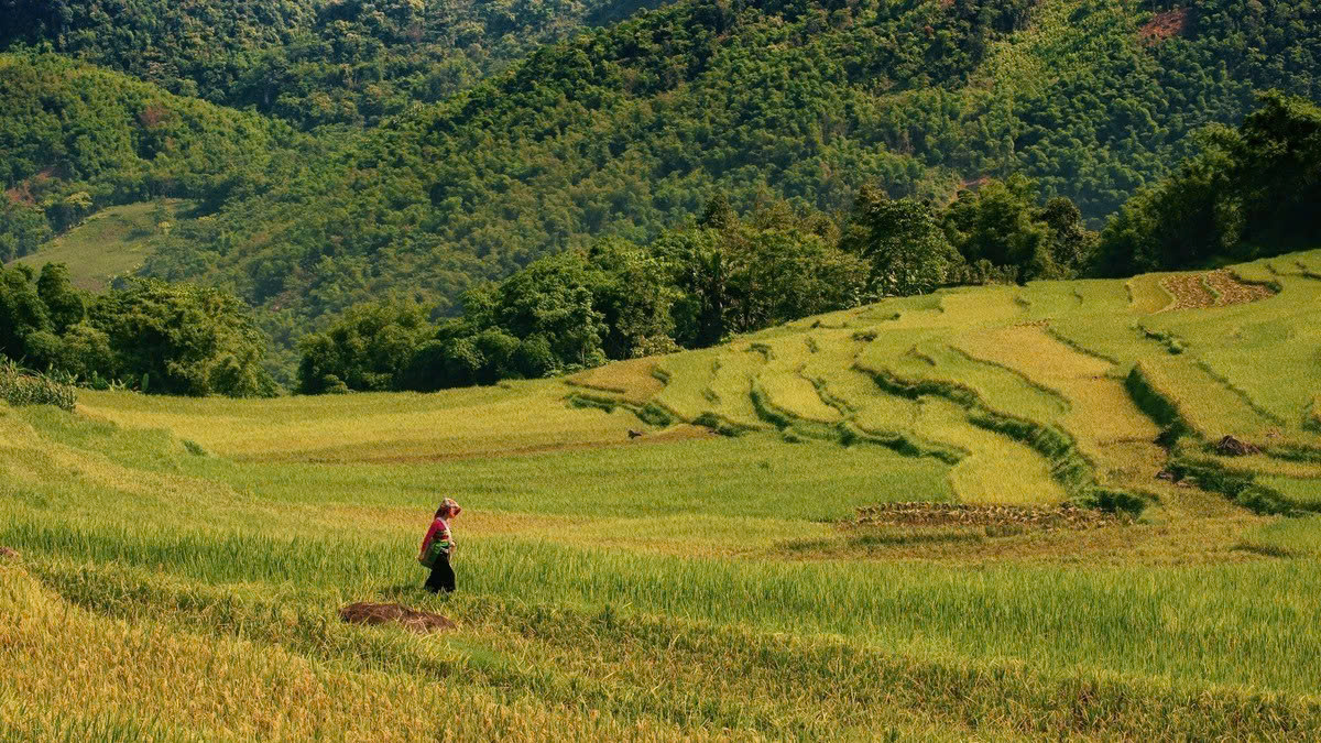 Du lịch Pù Luông