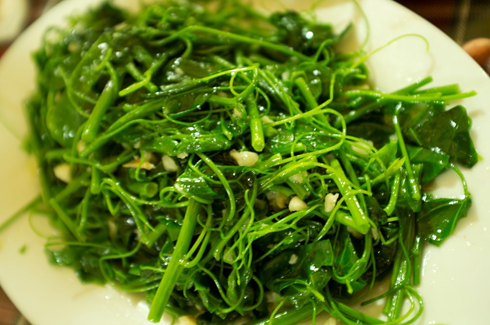 Du lịch Tam Đảo