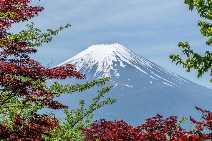 Du lịch Tokyo mùa nào đẹp? Top điểm Check-in hot nhất