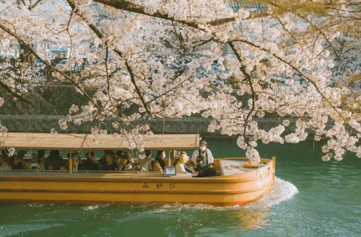 Du lịch Tokyo mùa nào đẹp? Top điểm Check-in hot nhất 