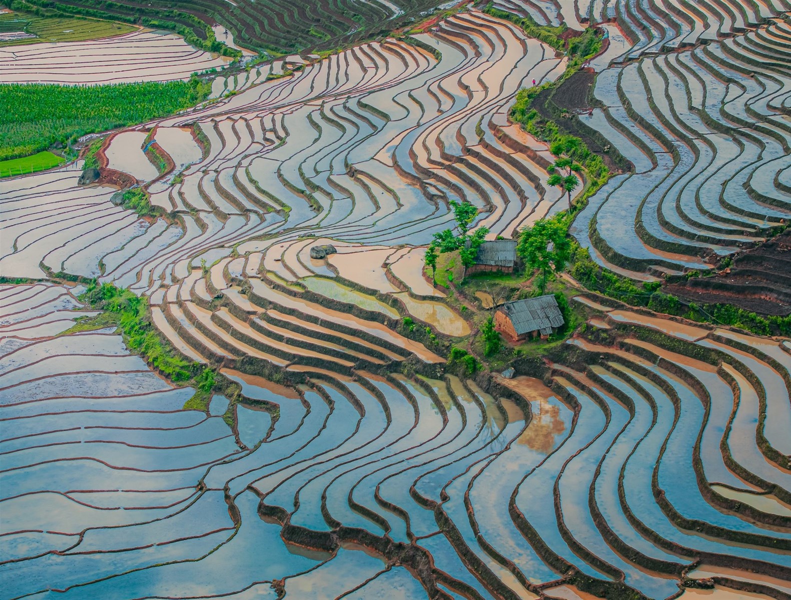 Du lịch Y Tý