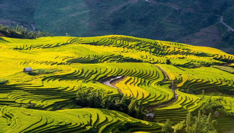 Du lịch Y Tý