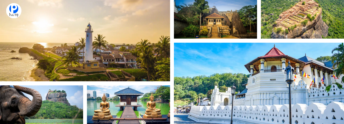Tour Sri Lanka 7N6Đ: Colombo – Lion Rock – Kandy – Safari Minneriya – Khám Phá Hòn Ngọc Ấn Độ Dương