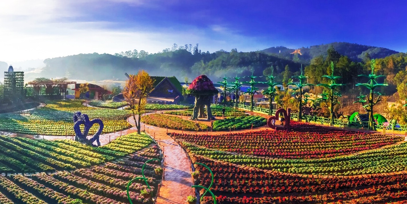 Gợi ý lịch trình tour Đà Lạt hấp dẫn