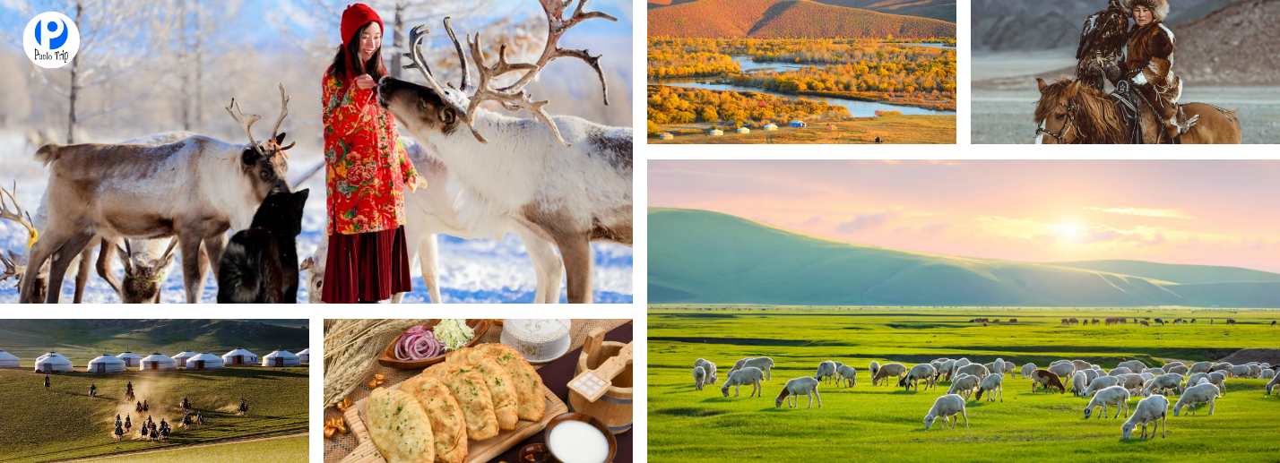 Tour Mông Cổ 8N8Đ: Ulaanbaatar – Vườn Quốc Gia Terelj – Sa Mạc Gobi
