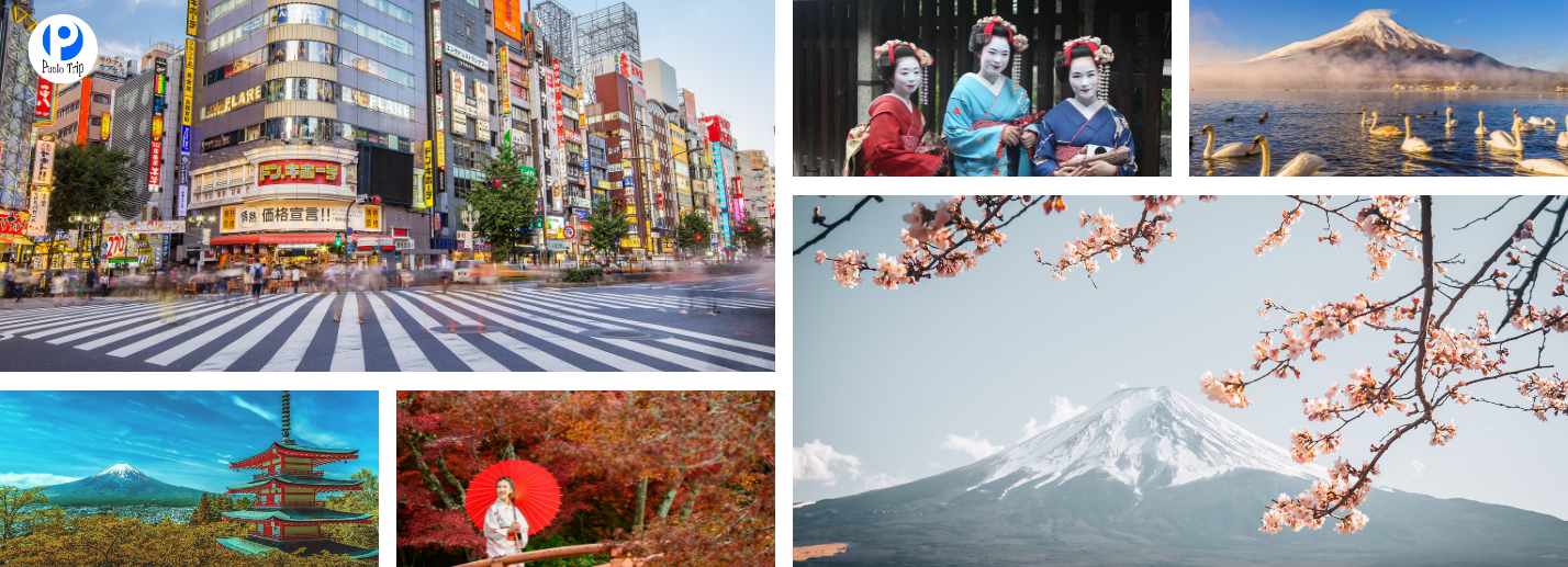 Tour Nhật Bản 5N4Đ | Tokyo - Núi Phú Sỹ - Onsen 2025