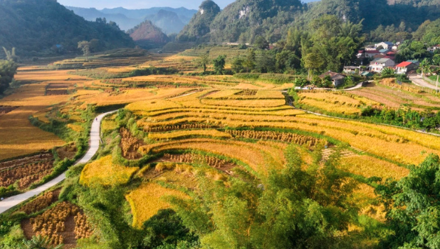 Thác Cò Là Trùng Khánh - Điểm đến hoang sơ đầy cuốn hút