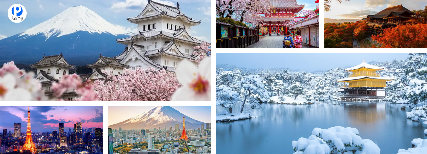 Tour Nhật Bản 5N4Đ | Yamanashi - Fuji - Hakone - Tokyo
