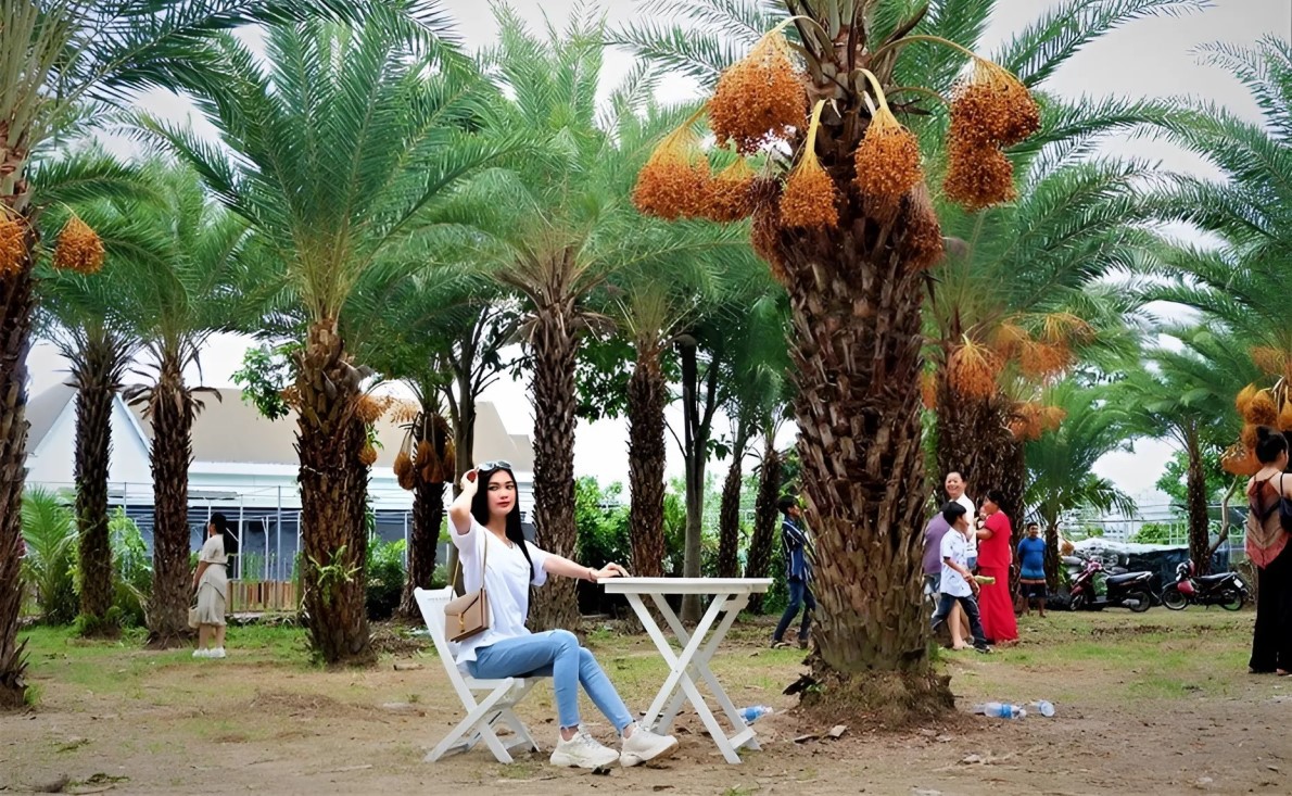 Tour Đồng Tháp 1 Ngày | Chùa Lá Sen - Làng Hoa Sa Đéc - Vườn Chà Là