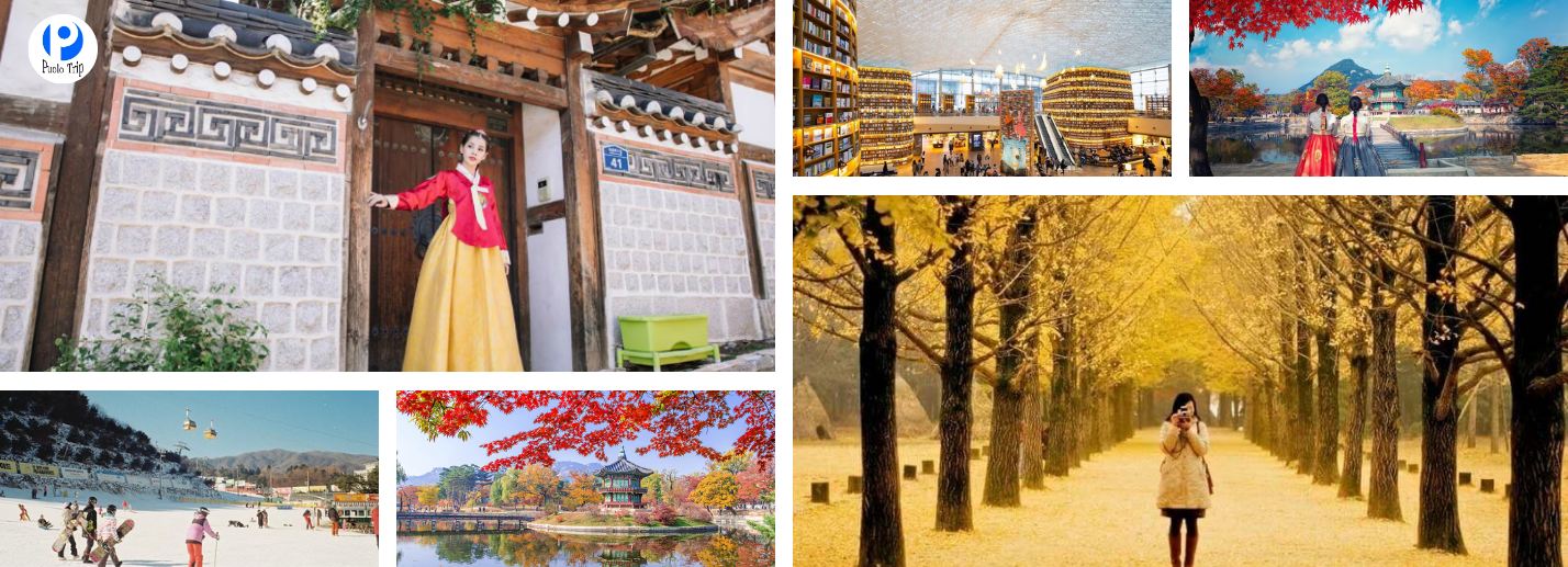 Tour Hàn Quốc 6N5Đ | Busan - Deagu - Seoul từ TP.HCM