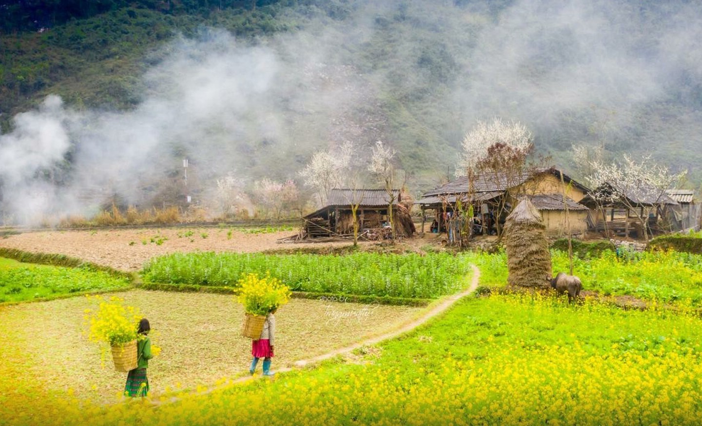 Tour Hà Nội - Hà Giang 3N2Đ | Lũng Cú - Sông Nho Quế