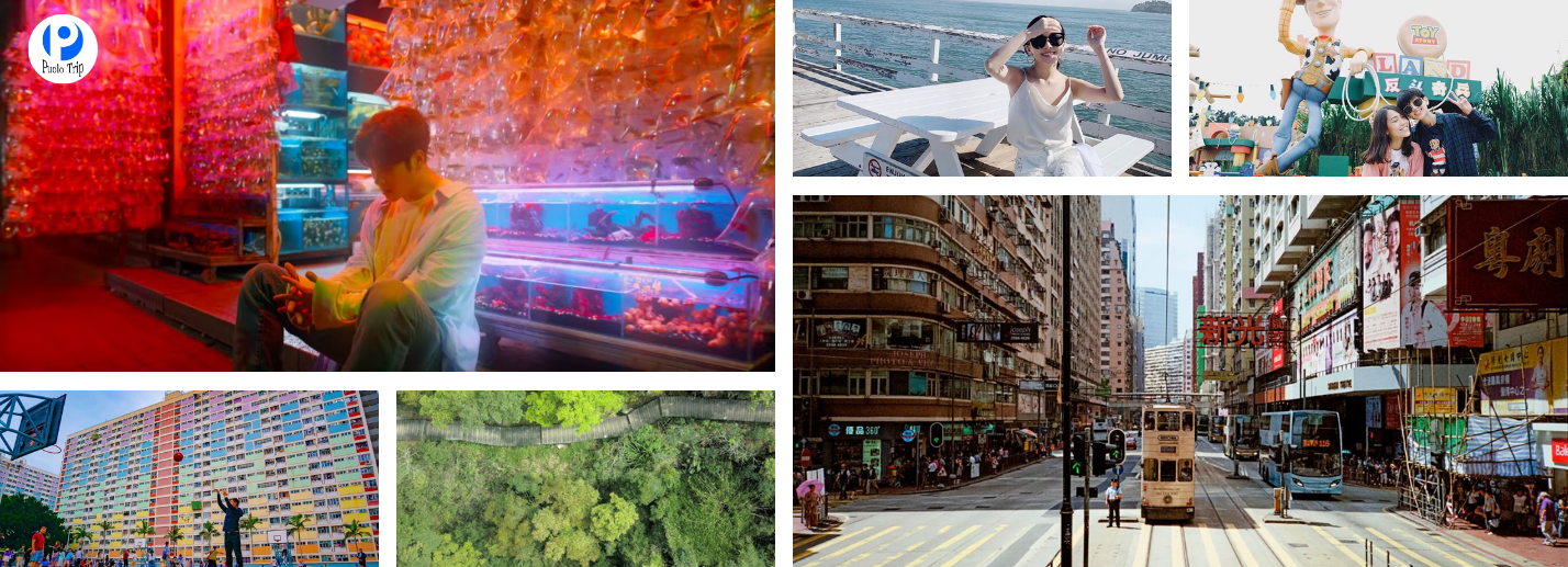 Tour Hongkong - Freeday 4N3Đ Từ TP.HCM 2026