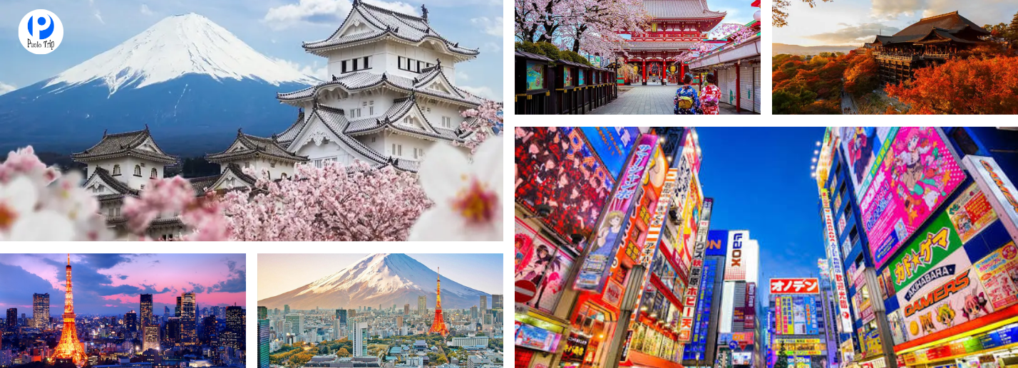 Tour Nhật Bản 5N5Đ | Osaka – Shirakawa Go – Fuji – Tokyo