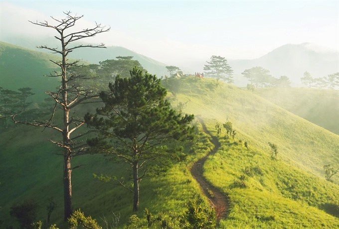 Tour trekking Tà Năng có gì hấp dẫn? 