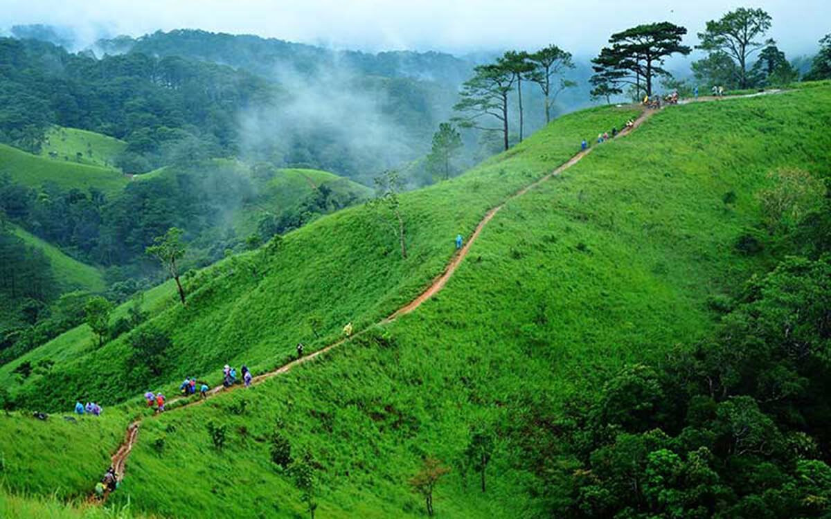 Tour trekking Tà Năng có gì hấp dẫn? 