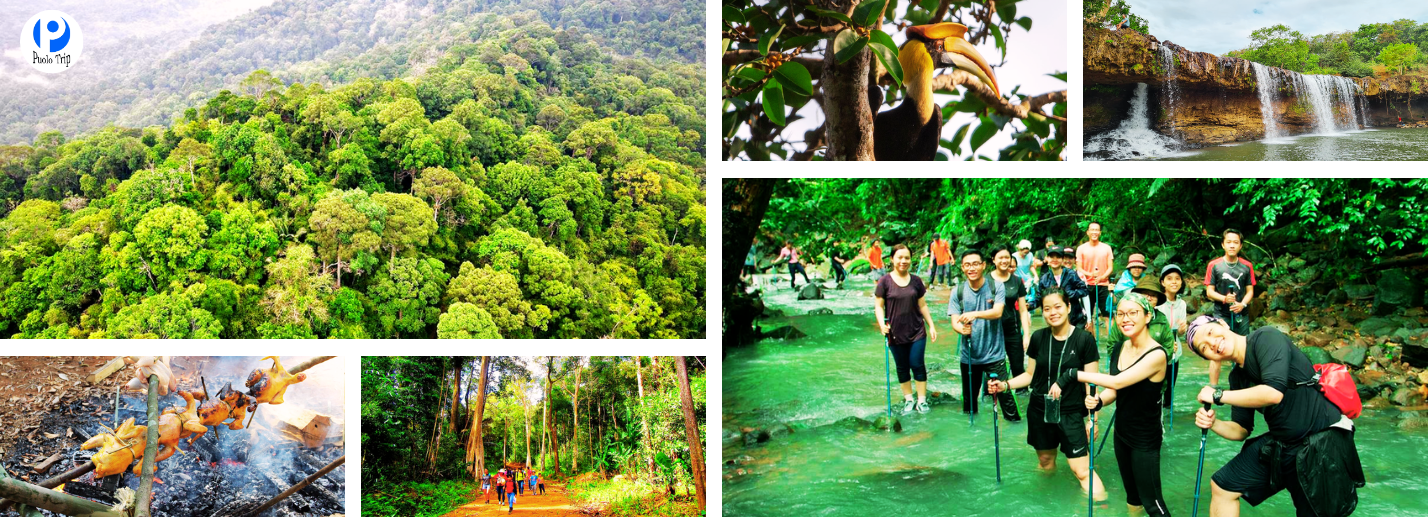 Tour Trekking Vườn Quốc Gia Bù Gia Mập 2N2Đ: Hành Trình Về Với Đại Ngàn & Văn Hóa Bản Địa Đặc Sắc