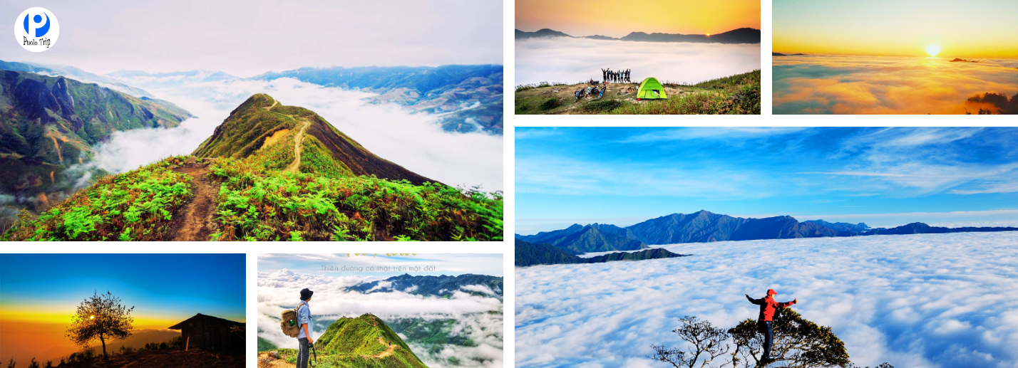 Tour Tà Xùa 2 Ngày 2 Đêm – Hành Trình Khám Phá Rừng Rêu & Chinh Phục Đỉnh Phu Sa Phìn Hùng Vĩ