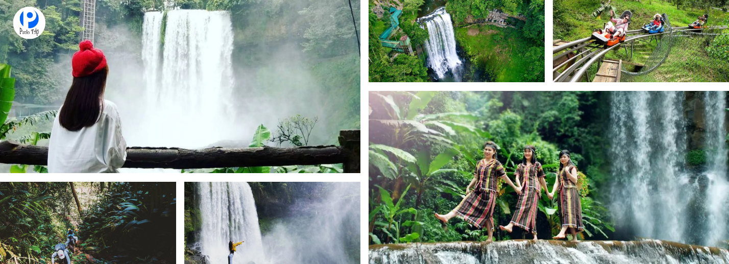 Tour Trekking Damb'ri 2N2Đ: TP.HCM – Bảo Lộc – Trekking Rừng Nguyên Sinh
