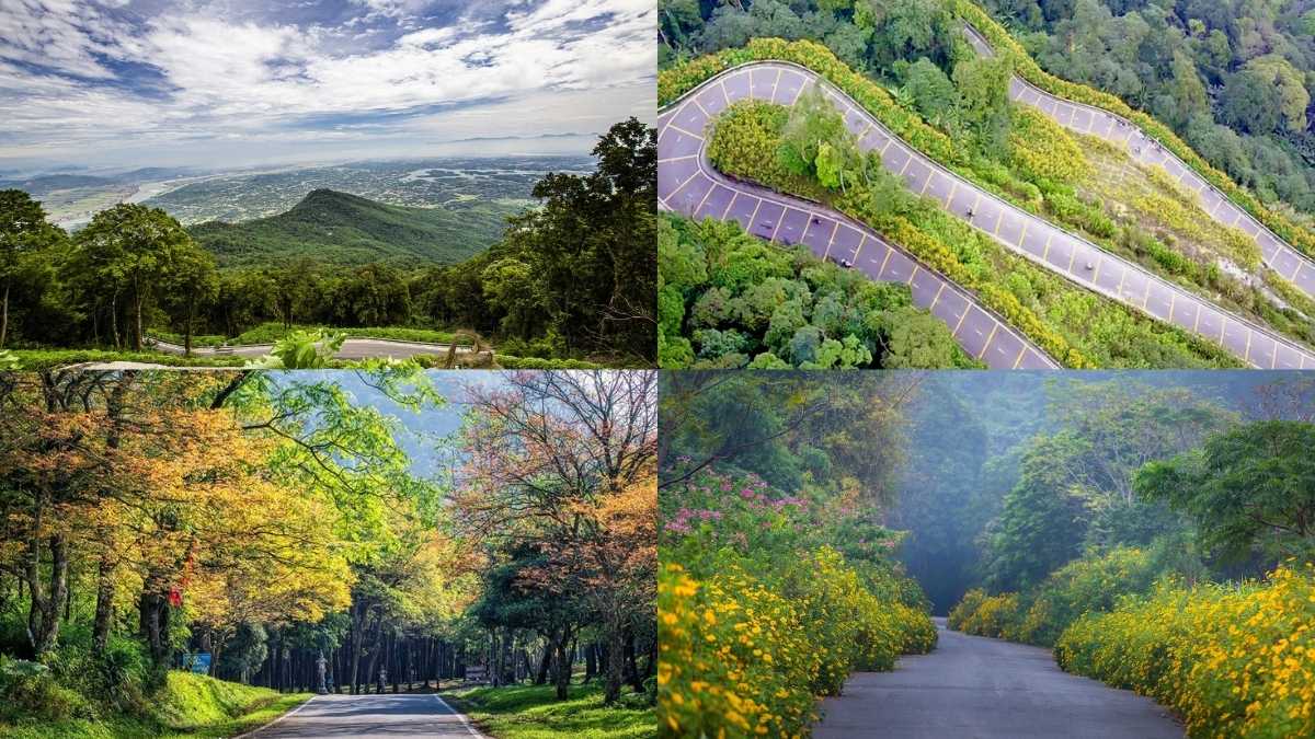Vườn quốc gia tại miền Bắc