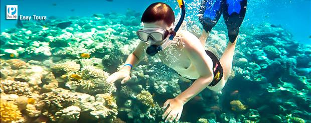 Tour Phú Quốc 2n2d giá rẻ-lặn ngắm san hô ở Phú QUốc