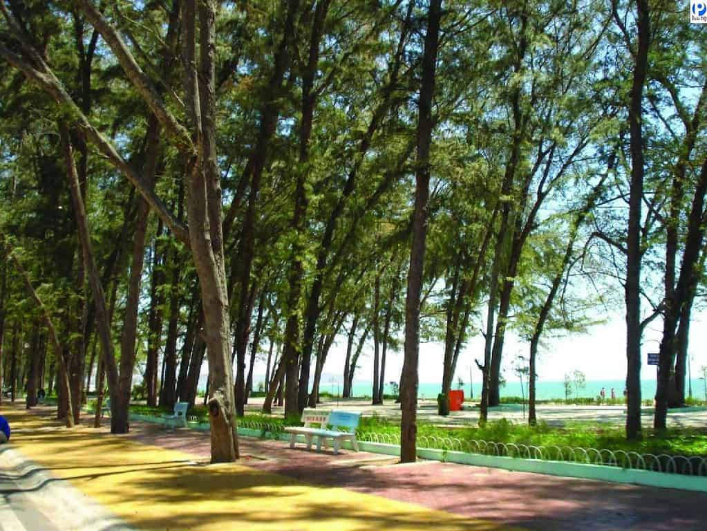 công viên Đồi Dương - Phan Thiết